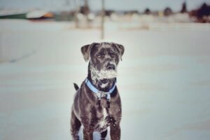 Photo by Brody Childs on Unsplash