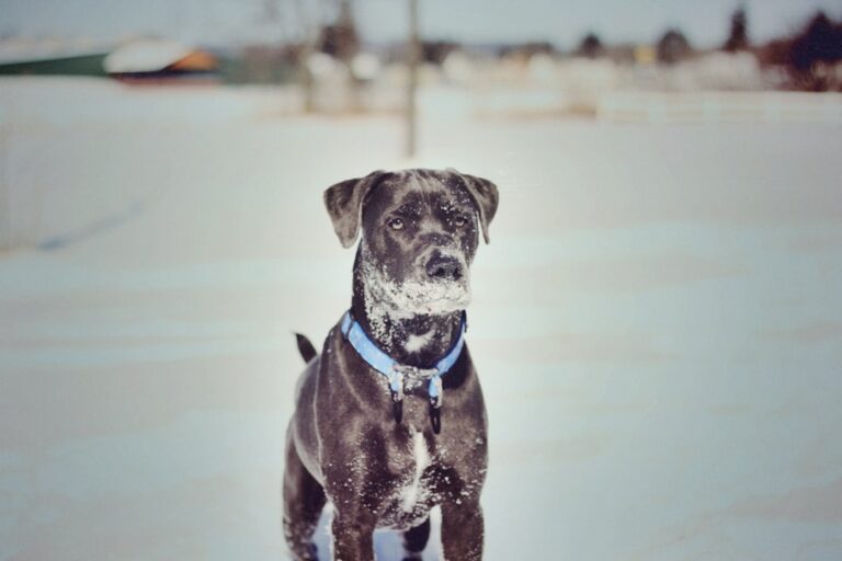 Photo by Brody Childs on Unsplash